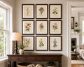Botanical Watercolor Printable Wall Art Kit Set of 9 | Neutral Floral Herbarium Bundle