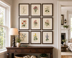 Botanical Watercolor Printable Wall Art Kit Set of 9 | Neutral Floral Herbarium Bundle