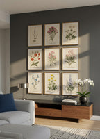 Botanical Watercolor Printable Wall Art Kit Set of 9 | Neutral Floral Herbarium Bundle