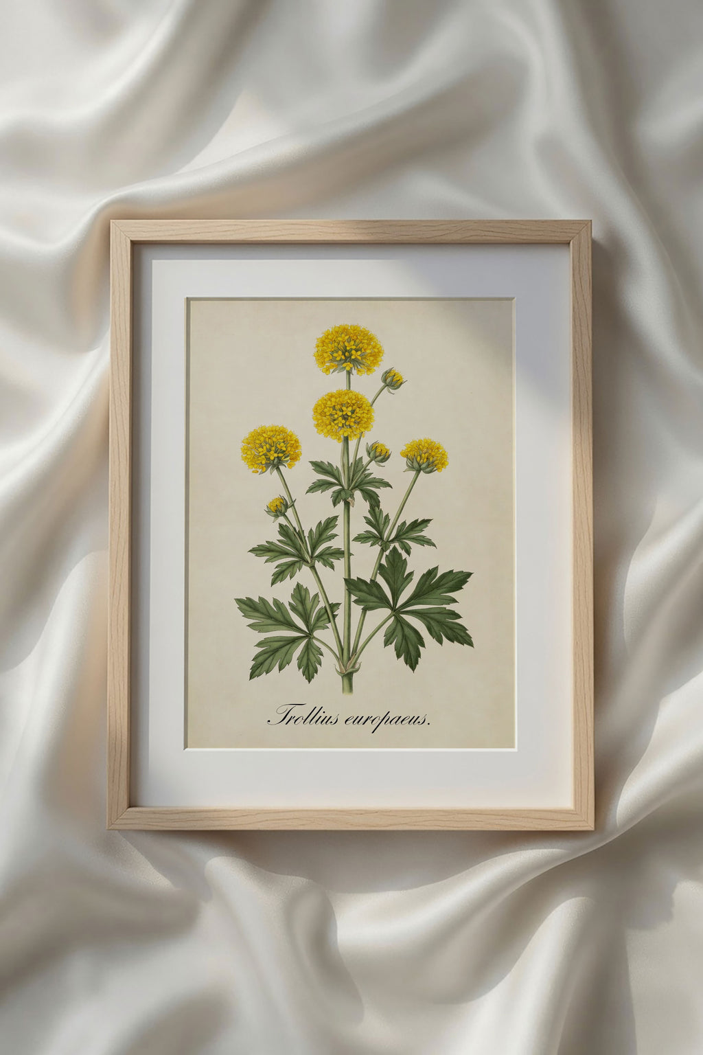 Botanical Watercolor Printable Wall Art Kit Set of 9 | Neutral Floral Herbarium Bundle