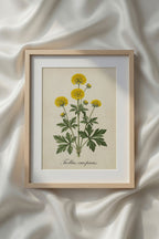 Botanical Watercolor Printable Wall Art Kit Set of 9 | Neutral Floral Herbarium Bundle