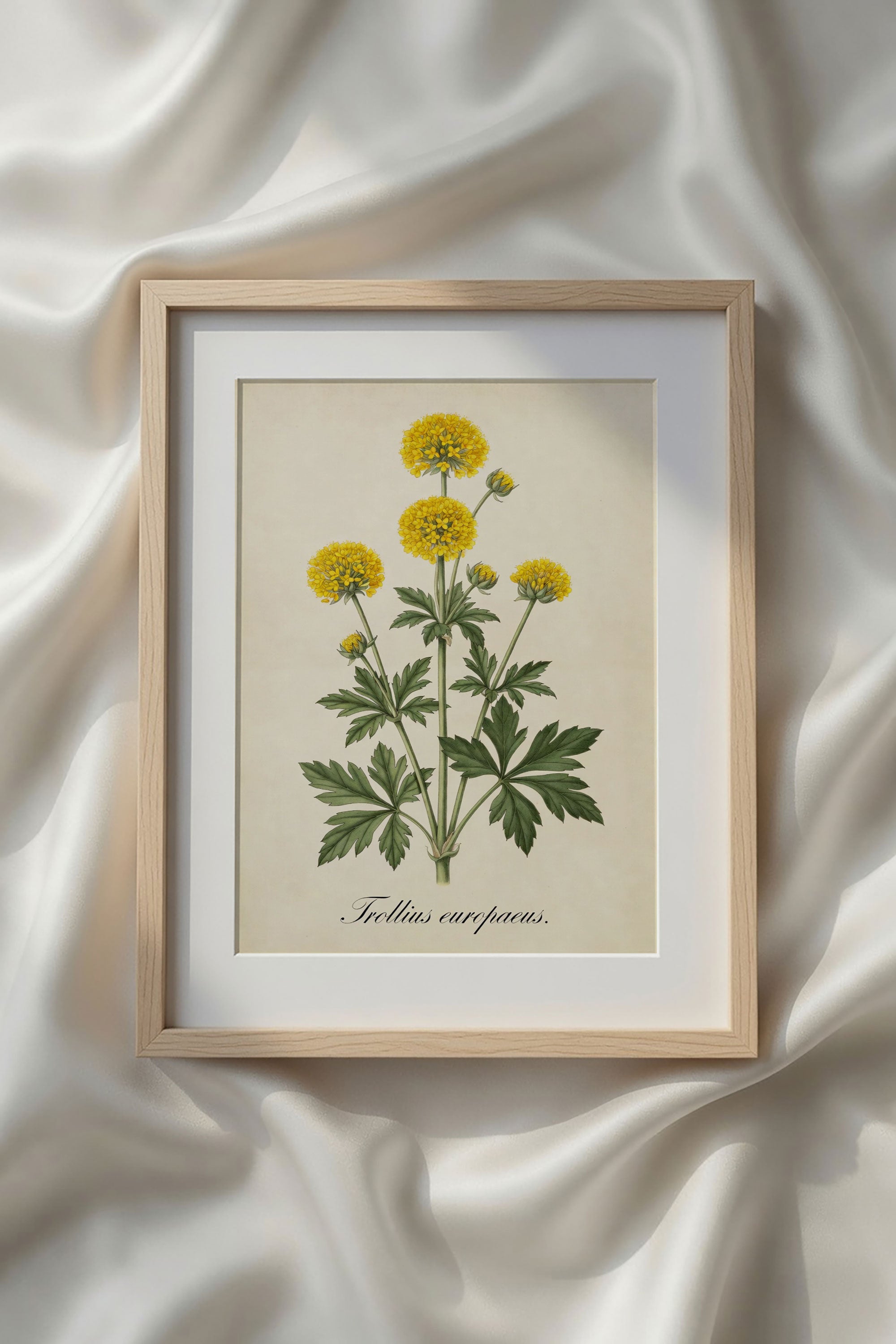 Botanical Watercolor Printable Wall Art Kit Set of 9 | Neutral Floral Herbarium Bundle