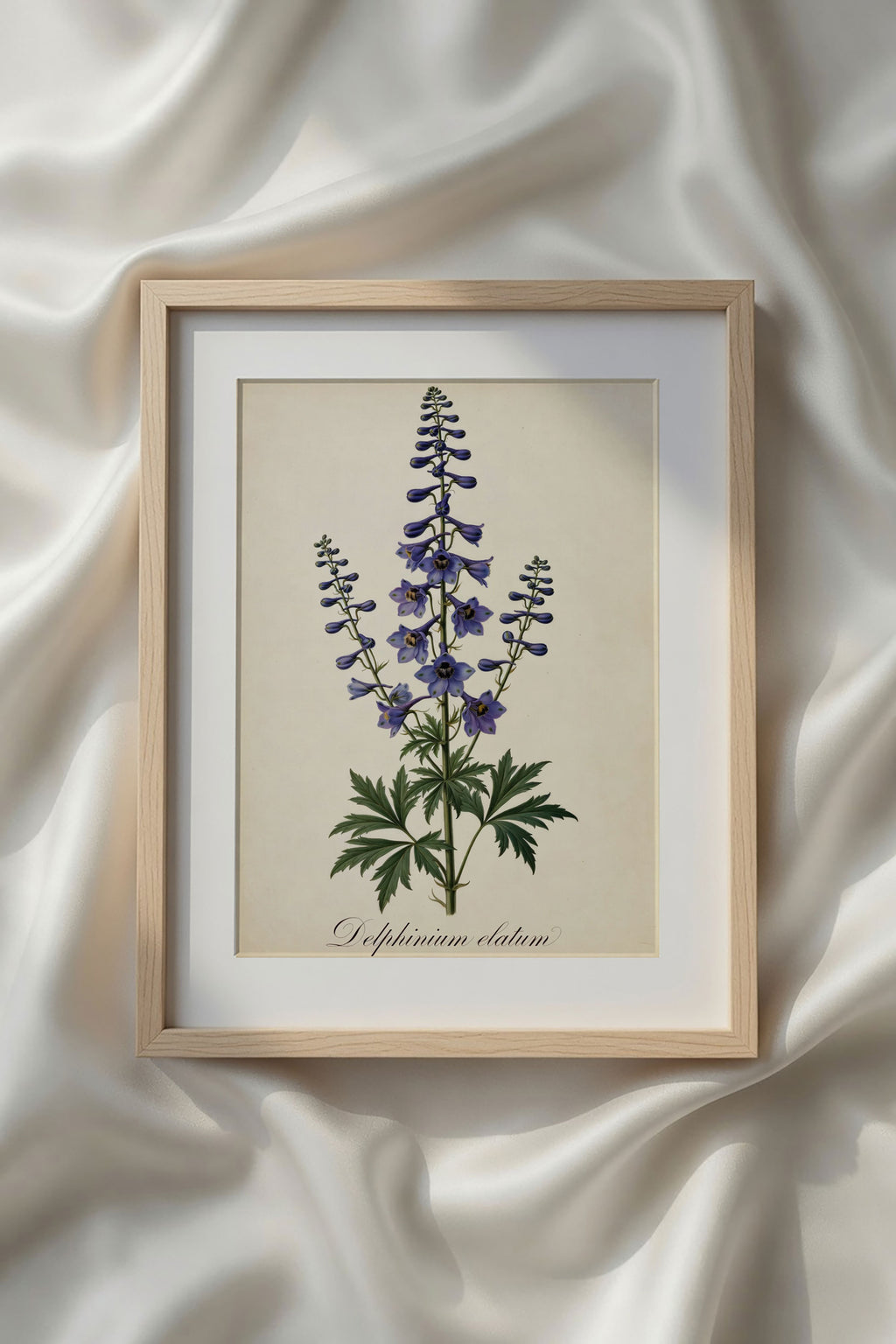 Botanical Watercolor Printable Wall Art Kit Set of 9 | Neutral Floral Herbarium Bundle