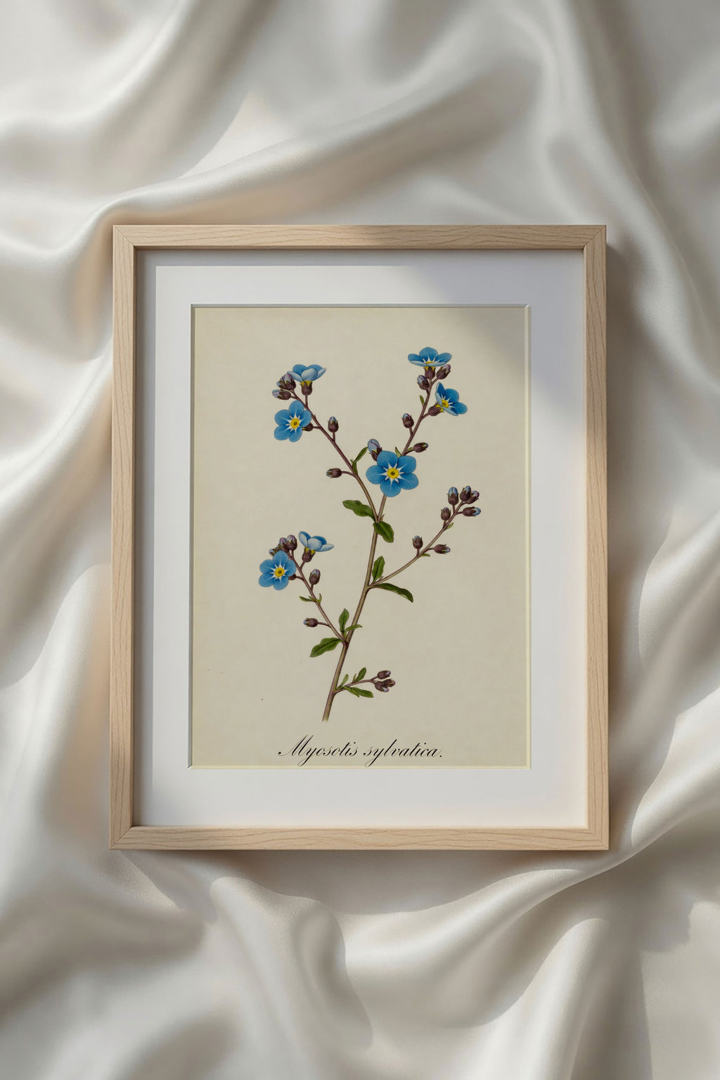 Botanical Watercolor Printable Wall Art Kit Set of 9 | Neutral Floral Herbarium Bundle