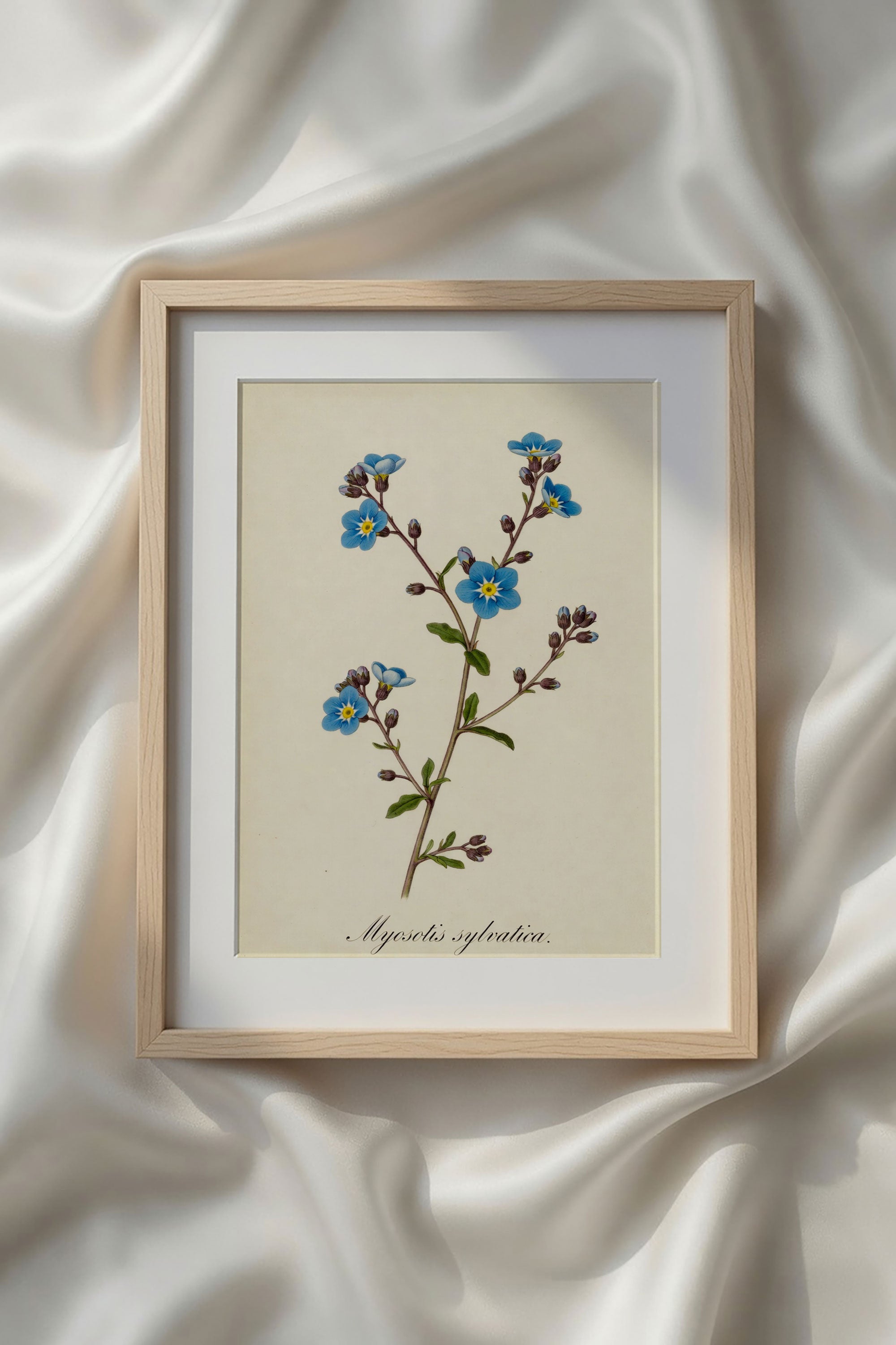 Botanical Watercolor Printable Wall Art Kit Set of 9 | Neutral Floral Herbarium Bundle