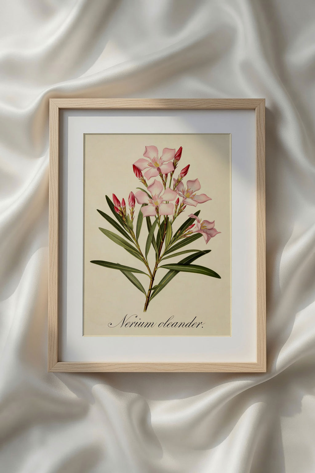 Botanical Watercolor Printable Wall Art Kit Set of 9 | Neutral Floral Herbarium Bundle