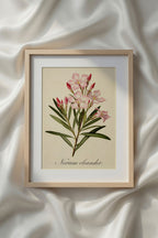 Botanical Watercolor Printable Wall Art Kit Set of 9 | Neutral Floral Herbarium Bundle