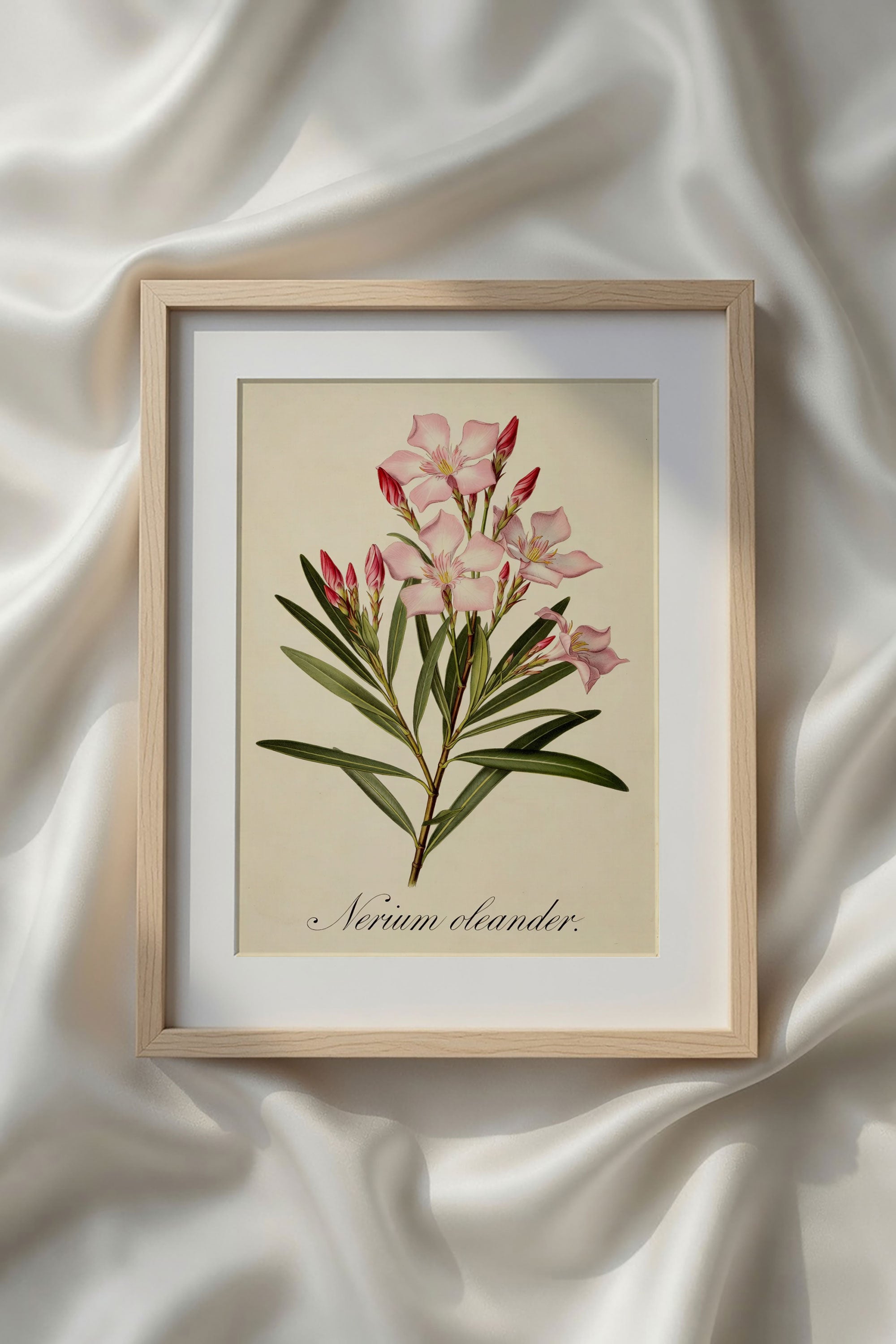 Botanical Watercolor Printable Wall Art Kit Set of 9 | Neutral Floral Herbarium Bundle