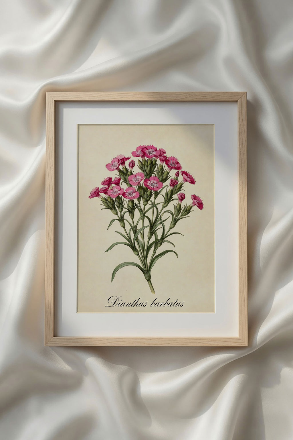 Botanical Watercolor Printable Wall Art Kit Set of 9 | Neutral Floral Herbarium Bundle