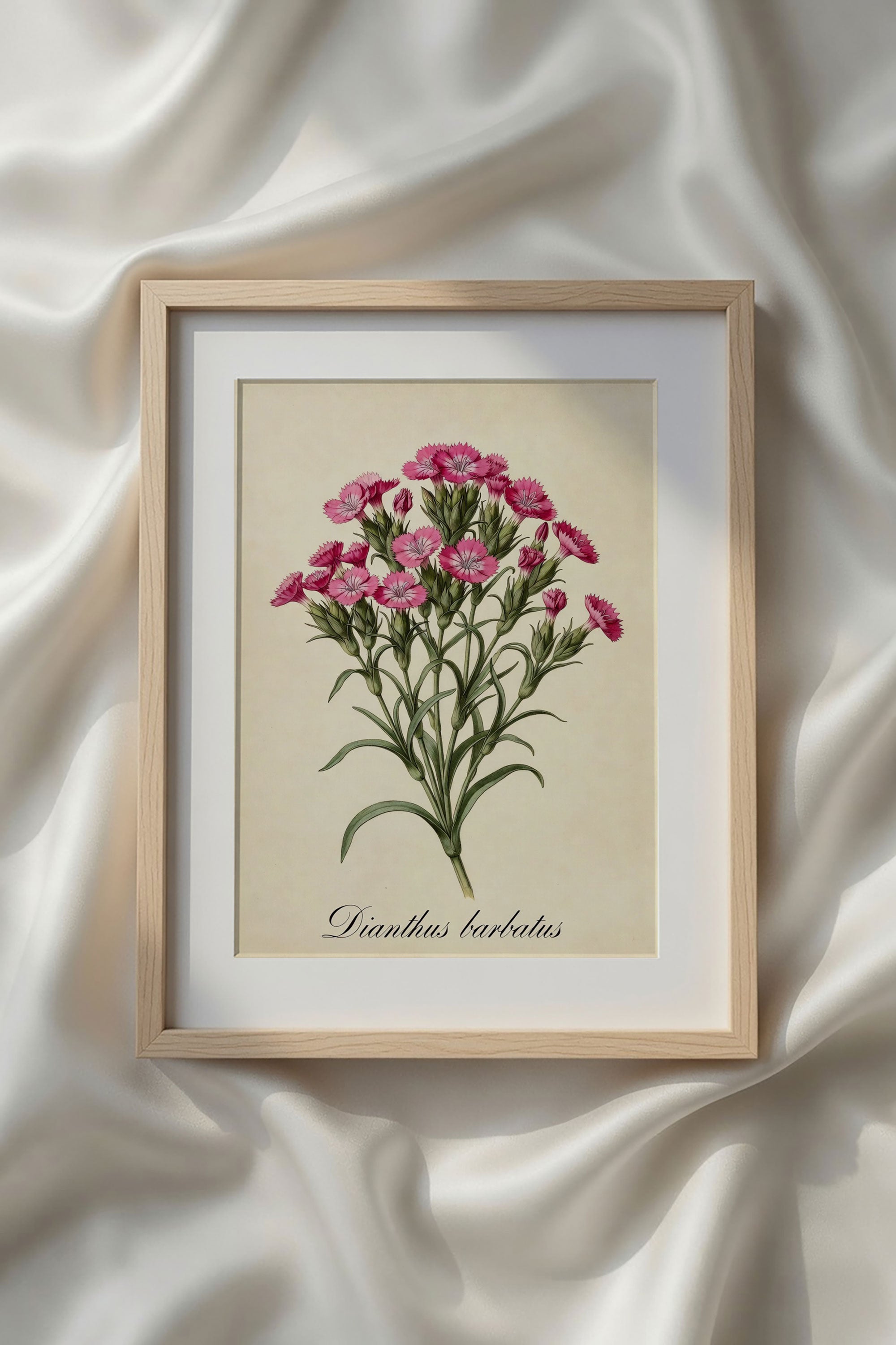 Botanical Watercolor Printable Wall Art Kit Set of 9 | Neutral Floral Herbarium Bundle