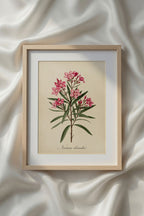 Botanical Watercolor Printable Wall Art Kit Set of 9 | Neutral Floral Herbarium Bundle