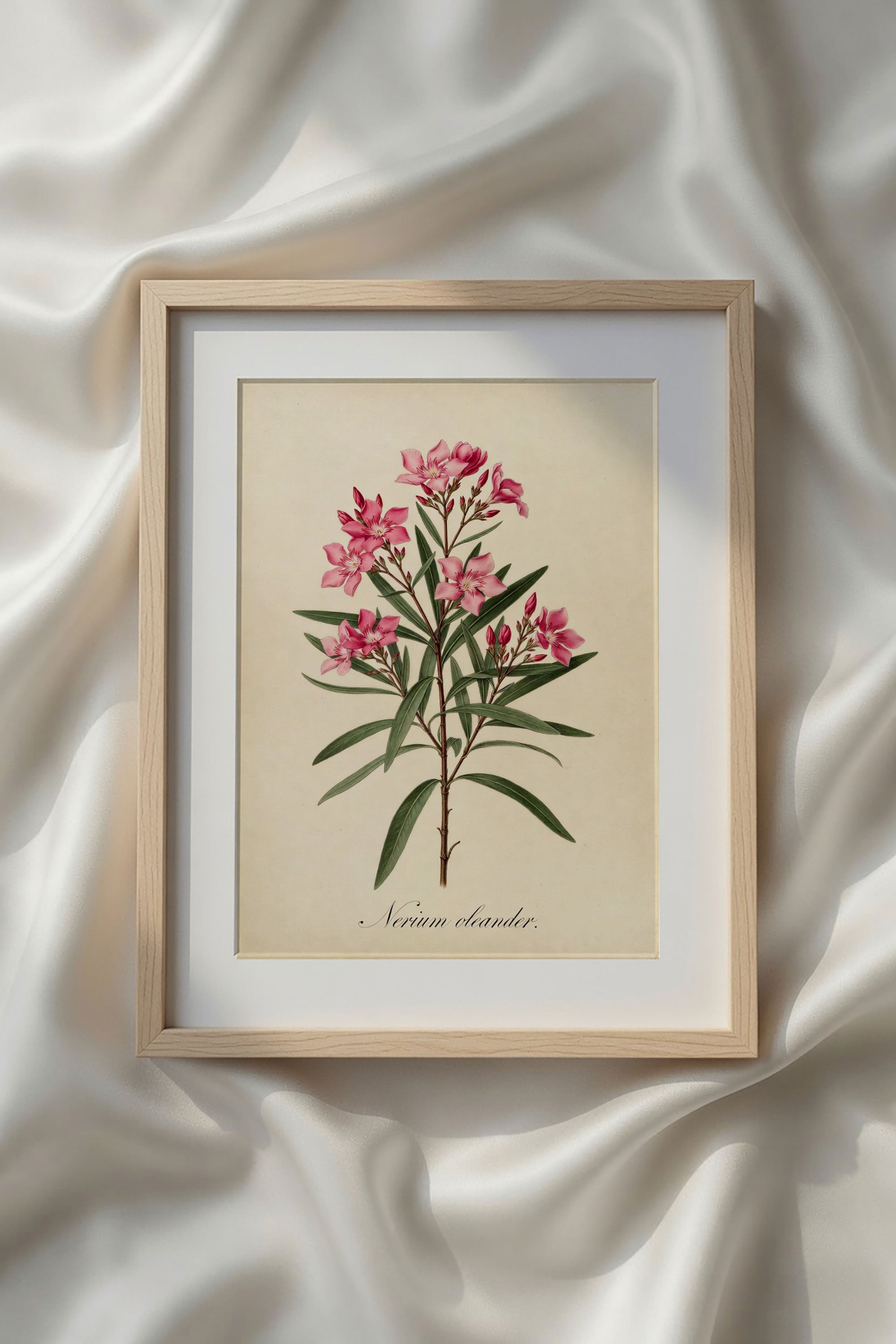 Botanical Watercolor Printable Wall Art Kit Set of 9 | Neutral Floral Herbarium Bundle