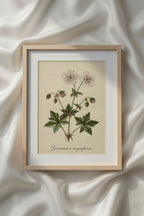 Botanical Watercolor Printable Wall Art Kit Set of 9 | Neutral Floral Herbarium Bundle