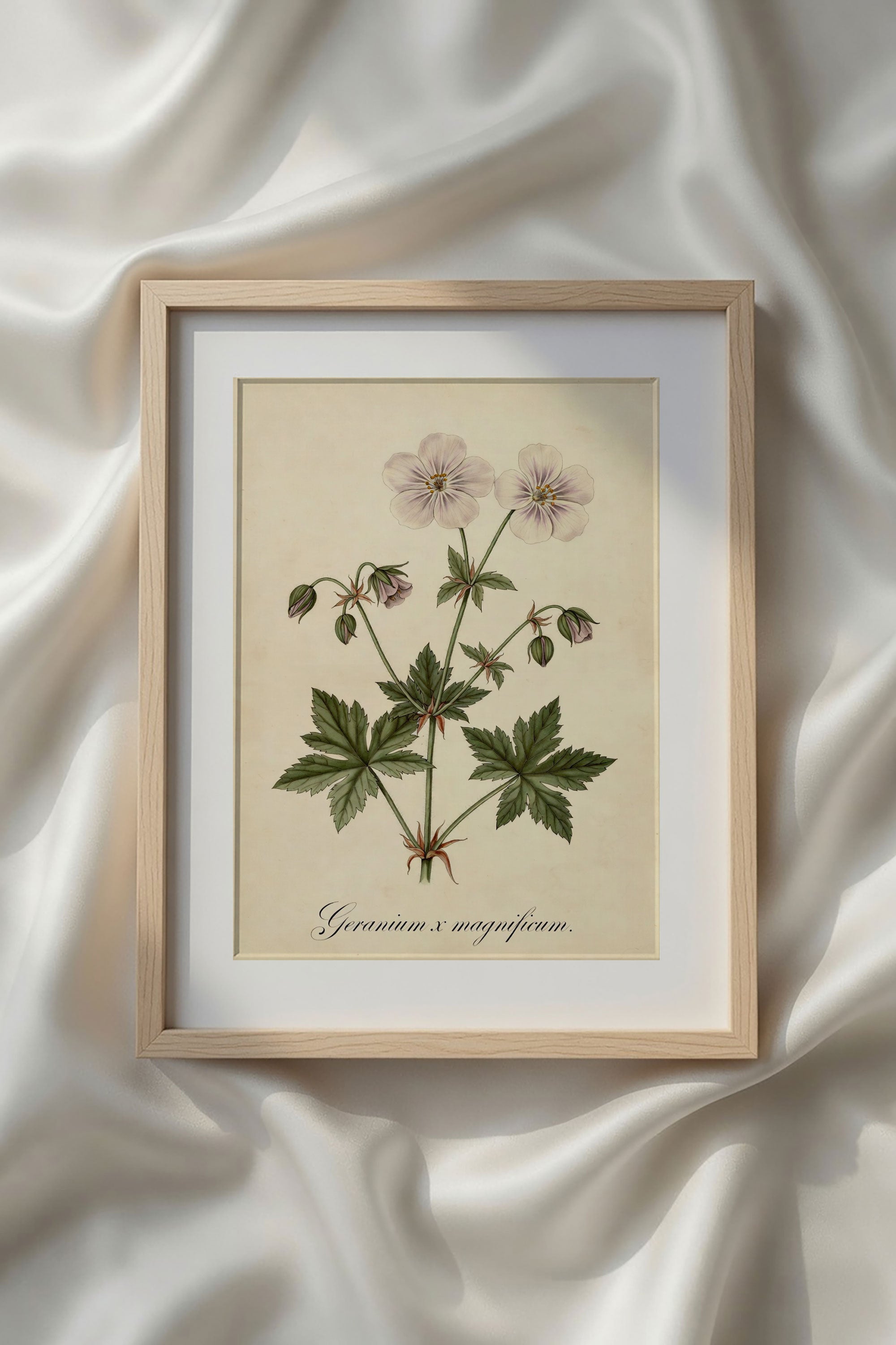 Botanical Watercolor Printable Wall Art Kit Set of 9 | Neutral Floral Herbarium Bundle