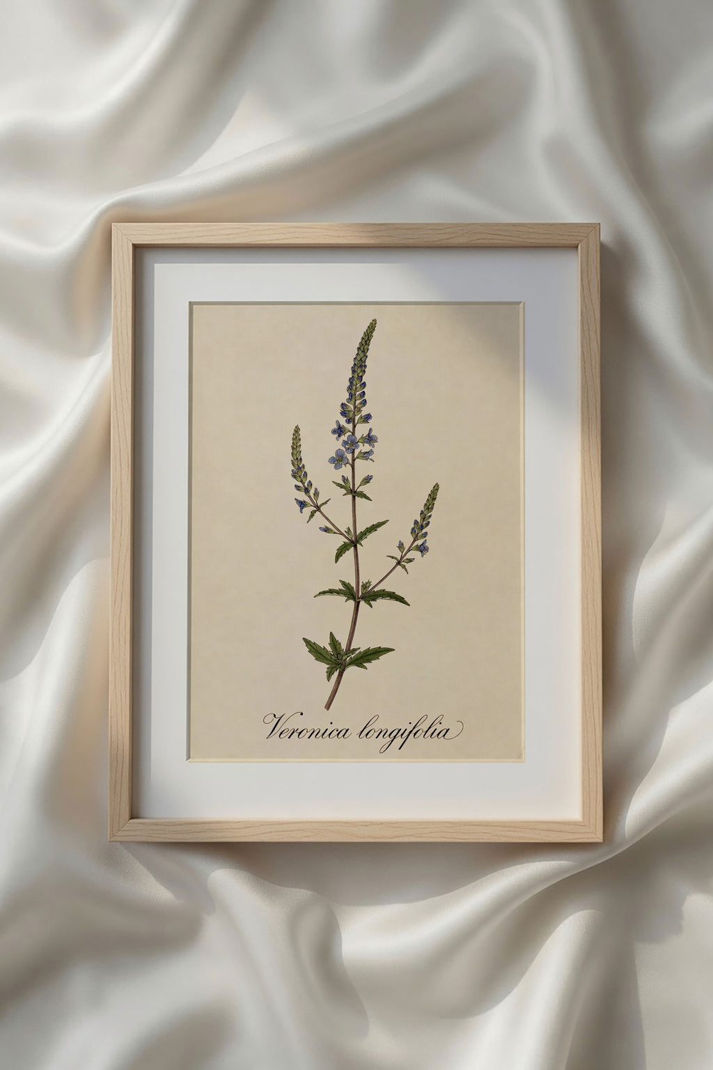 Botanical Watercolor Printable Wall Art Kit Set of 9 | Neutral Floral Herbarium Bundle