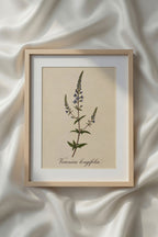 Botanical Watercolor Printable Wall Art Kit Set of 9 | Neutral Floral Herbarium Bundle