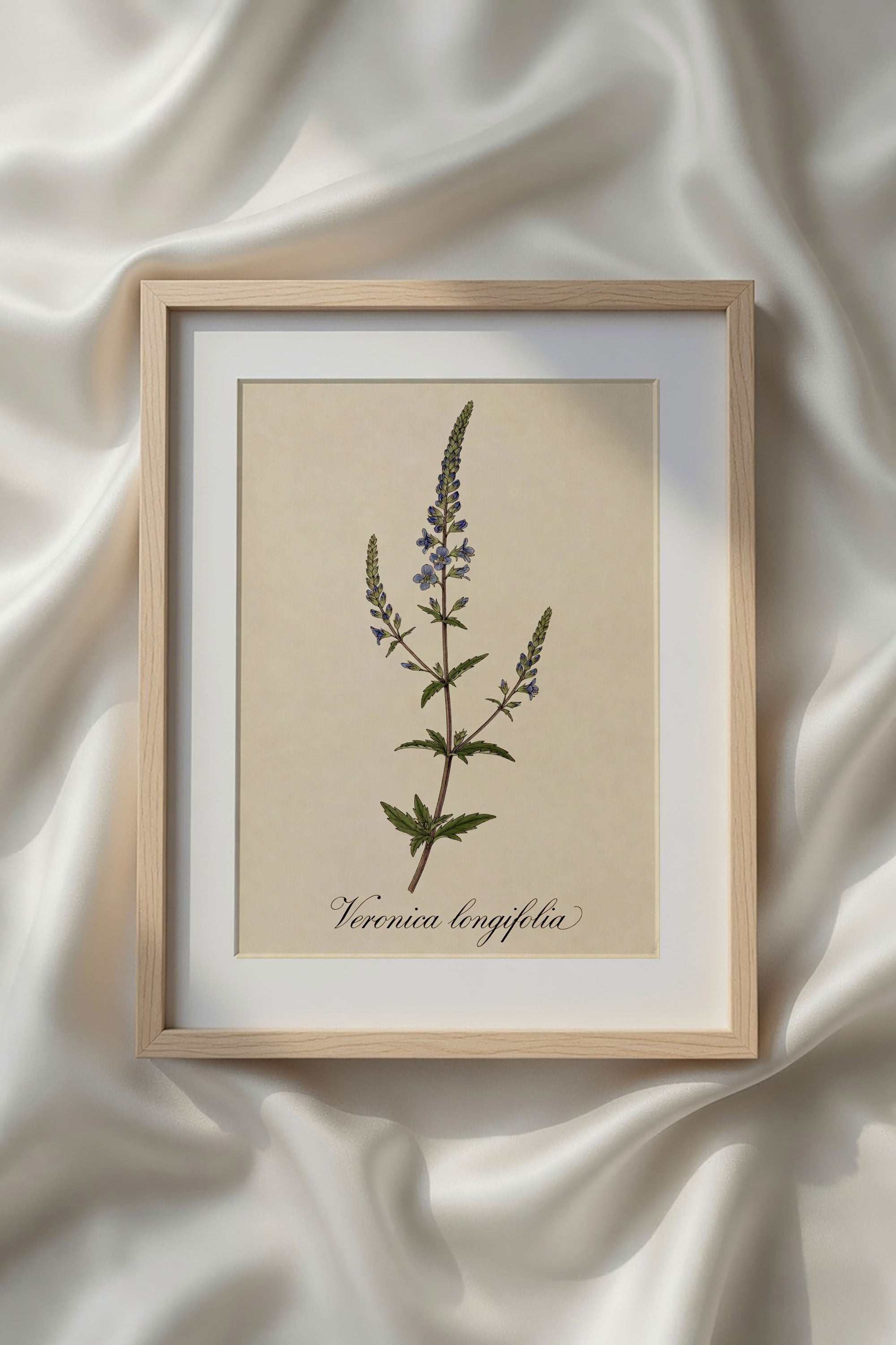 Botanical Watercolor Printable Wall Art Kit Set of 9 | Neutral Floral Herbarium Bundle
