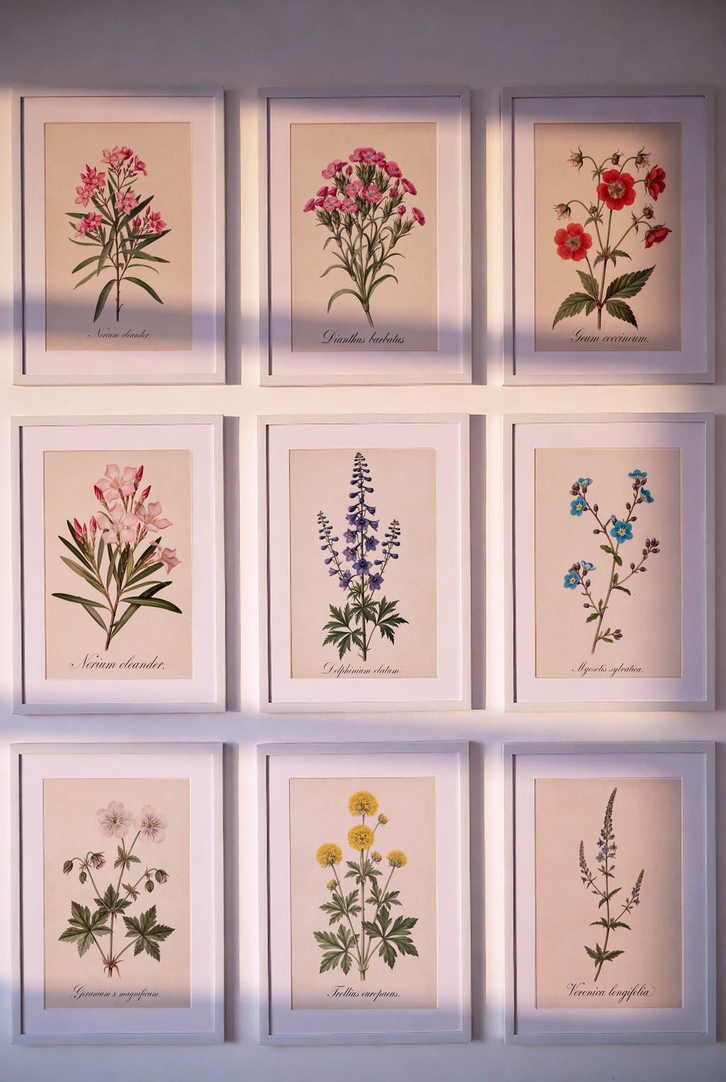 Botanical Watercolor Printable Wall Art Kit Set of 9 | Neutral Floral Herbarium Bundle